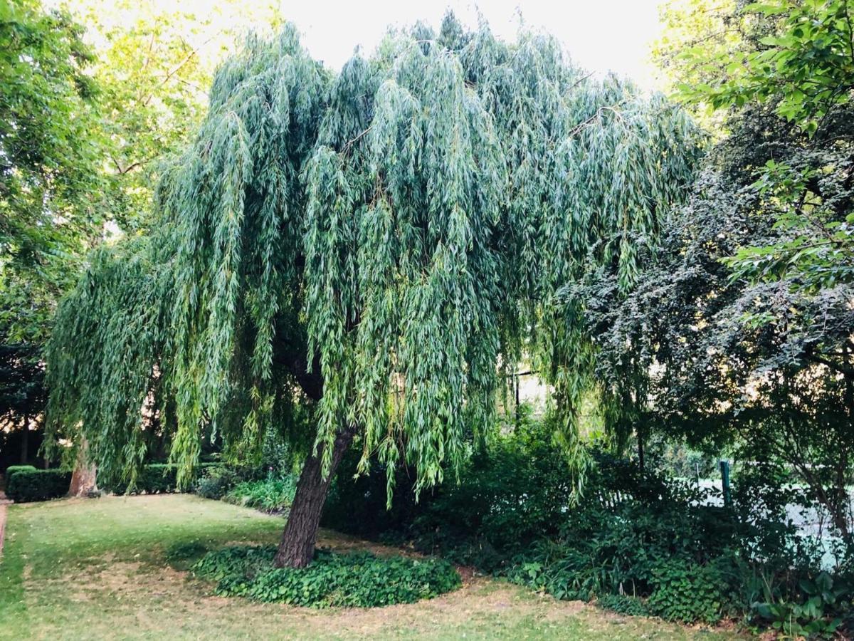 Southern Belgravia Apartments Λονδίνο Εξωτερικό φωτογραφία